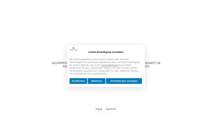 Screenshot of bodenmeister.shop