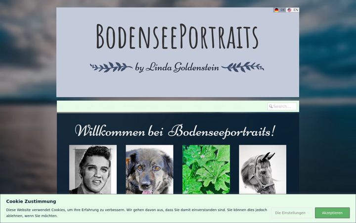 Screenshot του bodenseeportraits.com