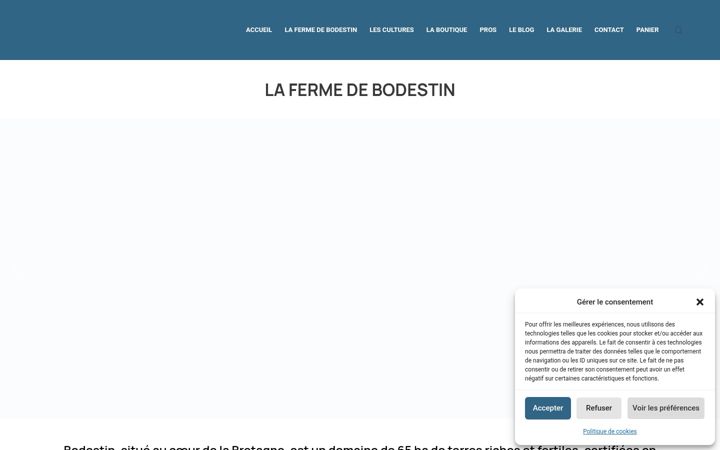 Screenshot του bodestin.fr