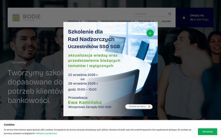 Screenshot of bodie.pl