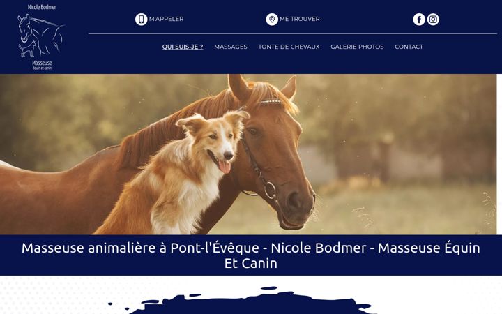 Snímek obrazovky bodmer-massage-equin.fr