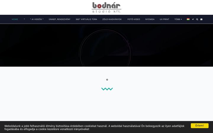 Screenshot of bodnarstudio.hu