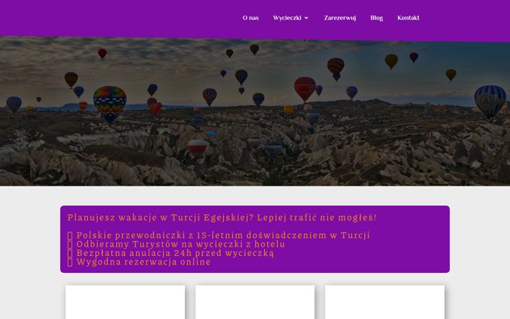 Screenshot of bodrum-wycieczki.pl