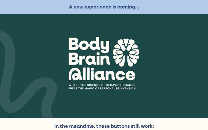 Zrzut ekranu bodybrainalliance.com