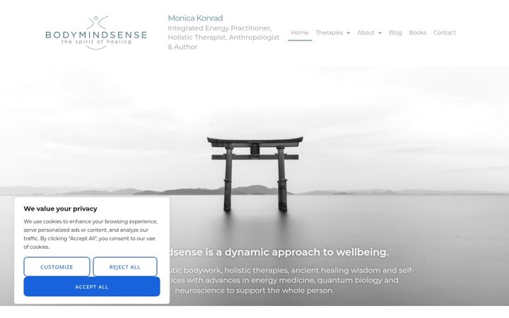 Screenshot of bodymindsense.com