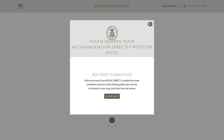 Screenshot of bodysgallen.com