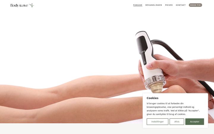Screenshot of bodywave.dk