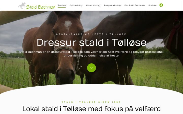 Screenshot of boechman.dk