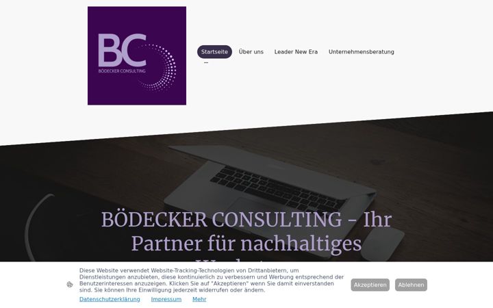 Screenshot of boedecker-consulting.de