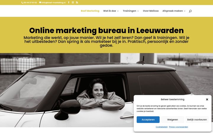 Screenshot of boef-marketing.nl