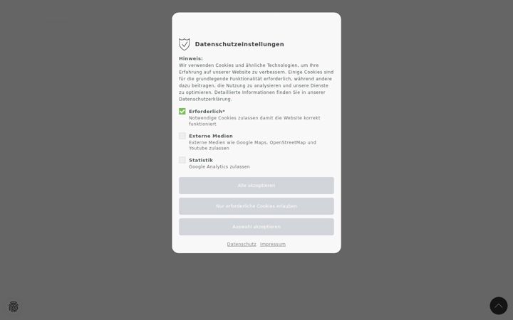 Screenshot of boehm-group.com