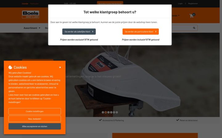Screenshot of boels-surveylaser.nl