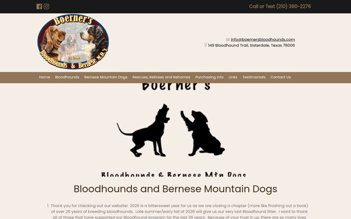 Captura de pantalla de boernersbloodhounds.com