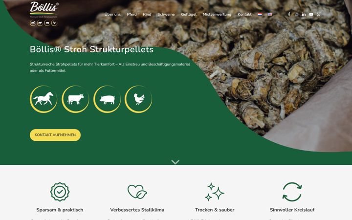 Screenshot of boesing-boellis.de