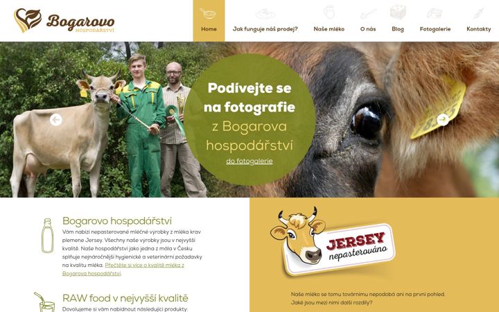 Screenshot of bogarovo.cz