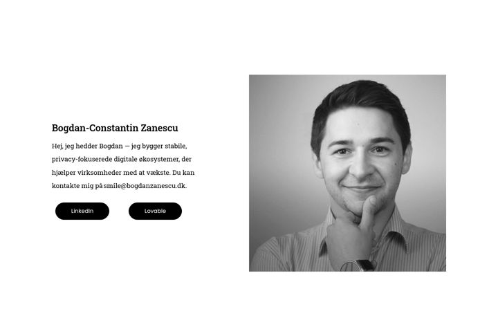 Screenshot of bogdanzanescu.dk