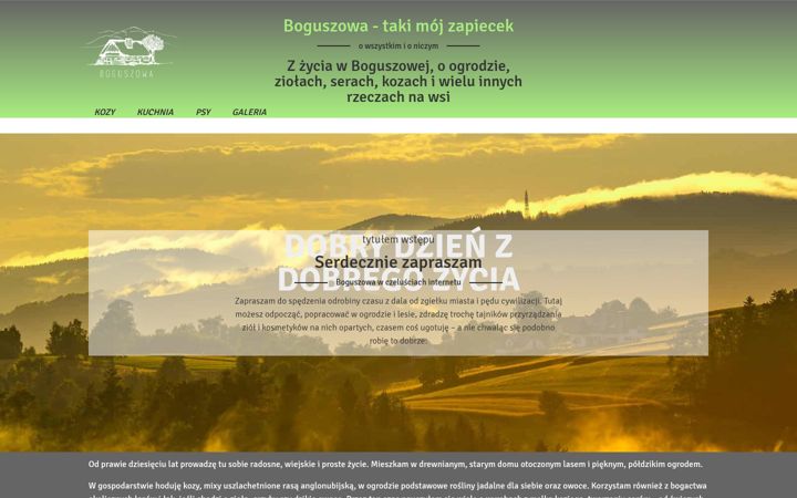 Screenshot of boguszowa.pl