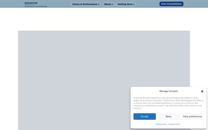 Screenshot of bohangar.com