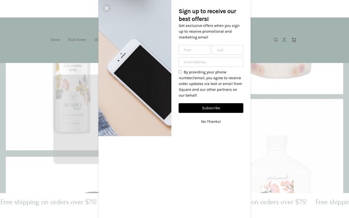 Screenshot of bohobasicshaircare.com