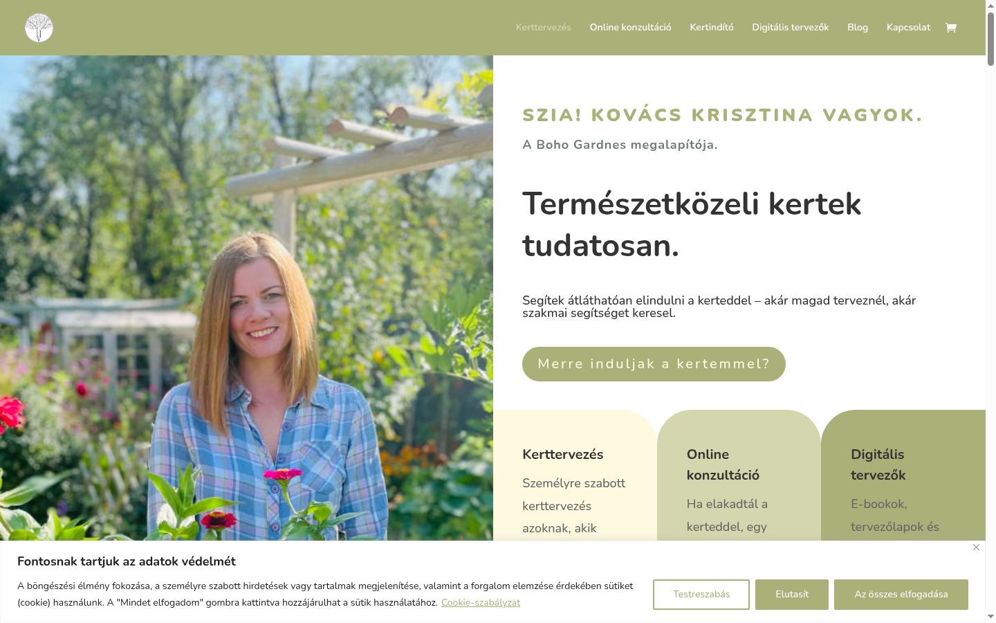 Skjámynd af samþykkisborðanum eins og hann birtist áður en nokkur samskipti fóru fram