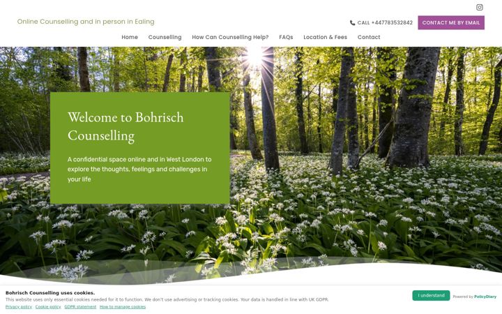 Screenshot of bohrisch-counselling.com