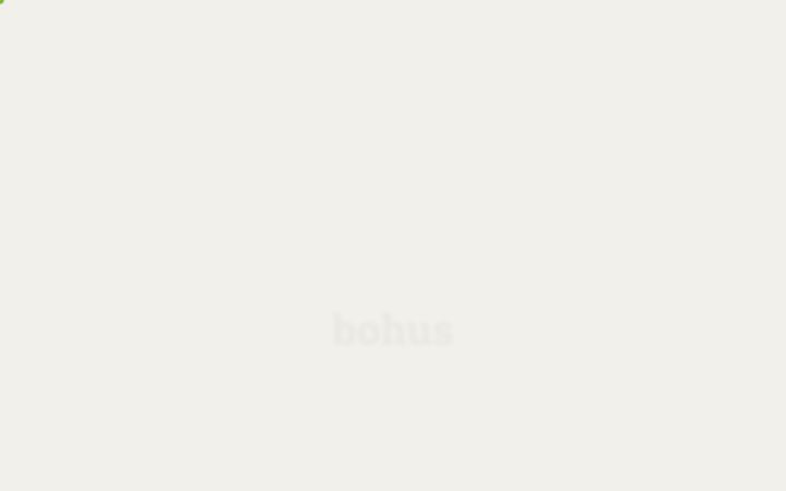 Screenshot of bohus.de