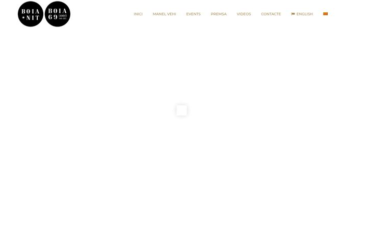 Screenshot of boianit.com