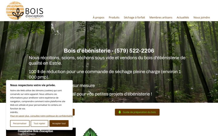 Screenshot of boisdexception.com