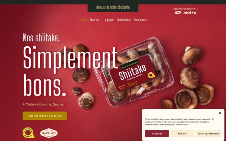 Screenshot of boisechoquette.com