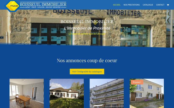 Capture d'écran de boisseuil-immobilier.fr