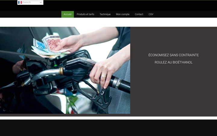 Screenshot of boitier-e85.com