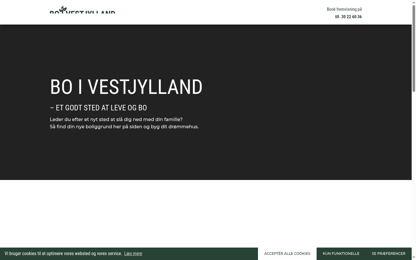 Skærmbillede af samtykkebanneret, som det blev vist før nogen interaktion