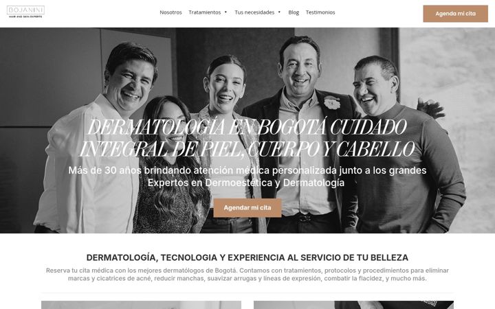 Screenshot ta' bojaniniexperts.co