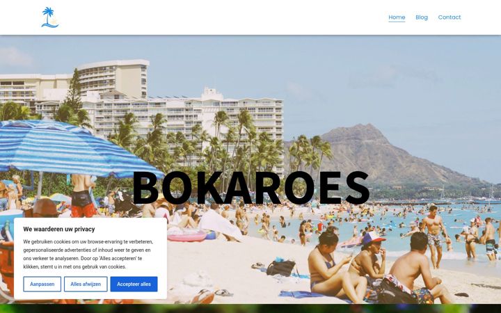 Screenshot του bokaroes.nl