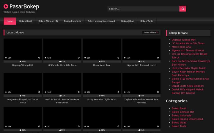 Screenshot of bokepasar.cam