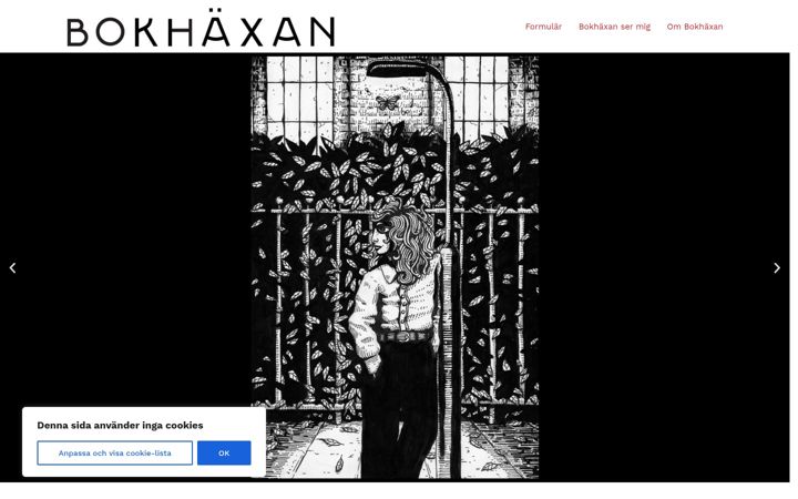 Screenshot of bokhaxan.se