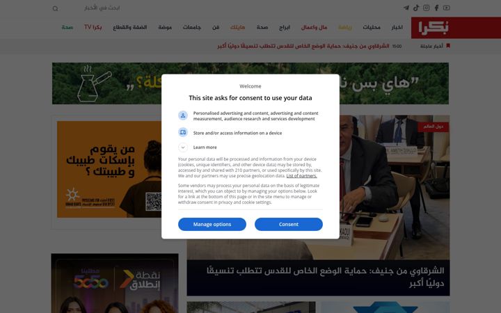 Screenshot of bokra.net