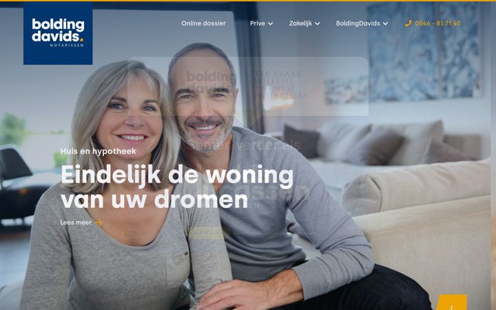 Screenshot ta' boldingdavids.nl