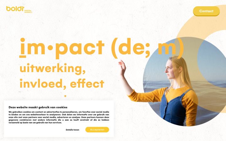 Screenshot of boldragency.nl