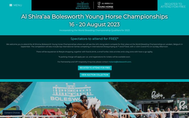 Screenshot of bolesworthyounghorse.com