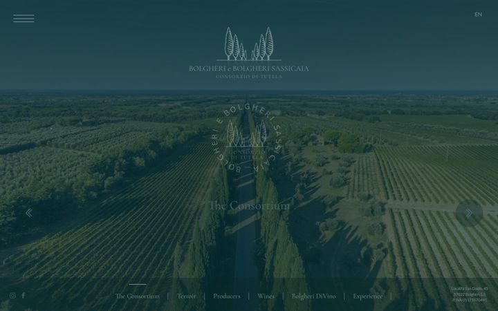 Screenshot of bolgheridoc.com
