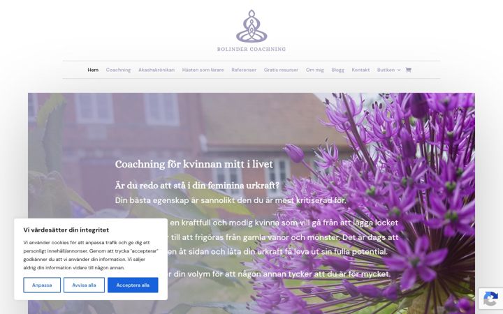 Screenshot of bolindercoachning.se
