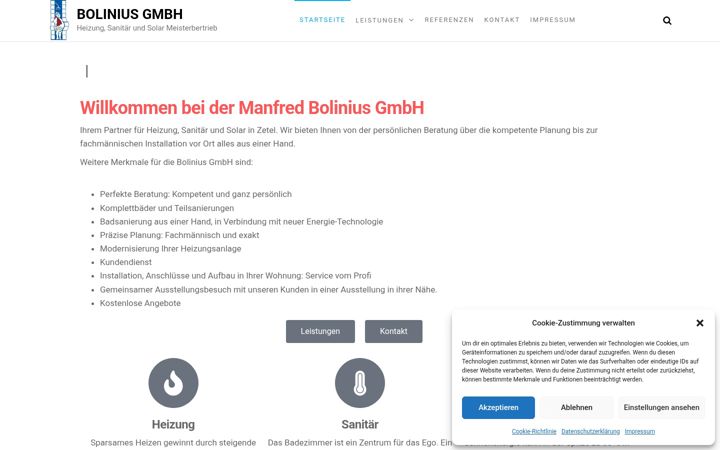 Screenshot of bolinius.com