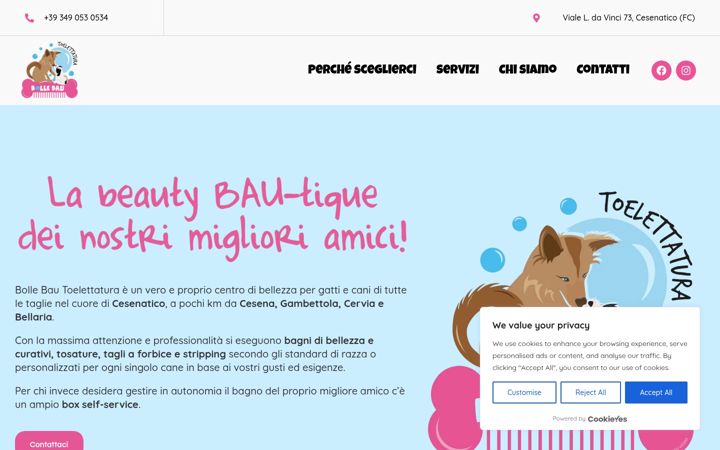 Screenshot of bollebautoelettatura.it
