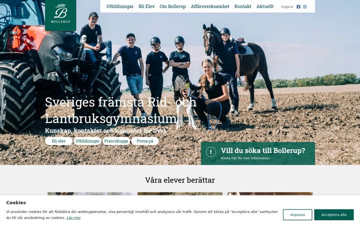 Zrzut ekranu bollerup.se