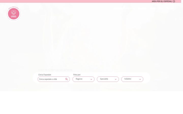 Screenshot of bollinirosa.it