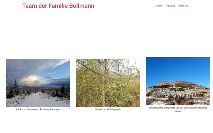 Screenshot of bollmannfamilie.de
