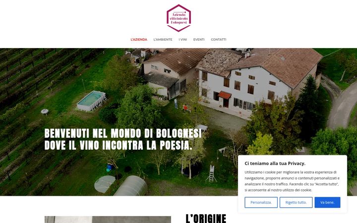 Posnetek zaslona bolognesivini.it