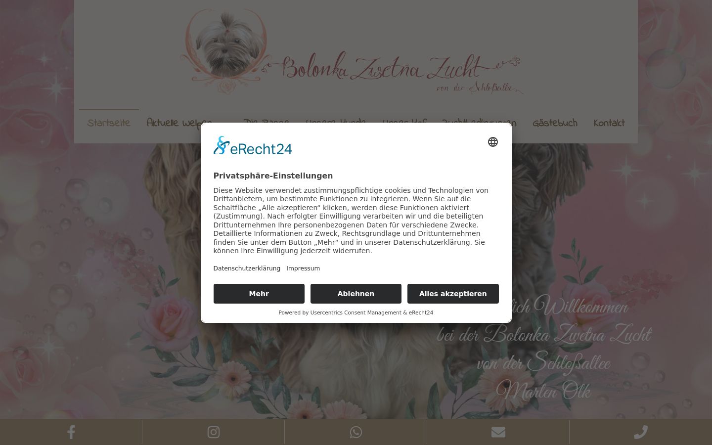 Screenshot of the consent banner shown before any interaction