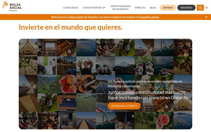 Screenshot of bolsasocial.com
